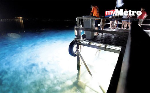 PELANCONG dapat melihat ikan di batu karang pada waktu malam.