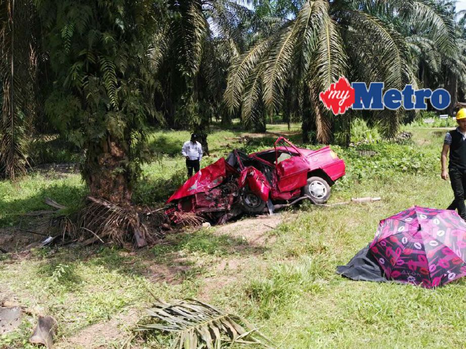 Penumpang Proton Iswara maut selepas kenderaan dinaiki melanggar pokok kelapa sawit. FOTO ihsan polis 