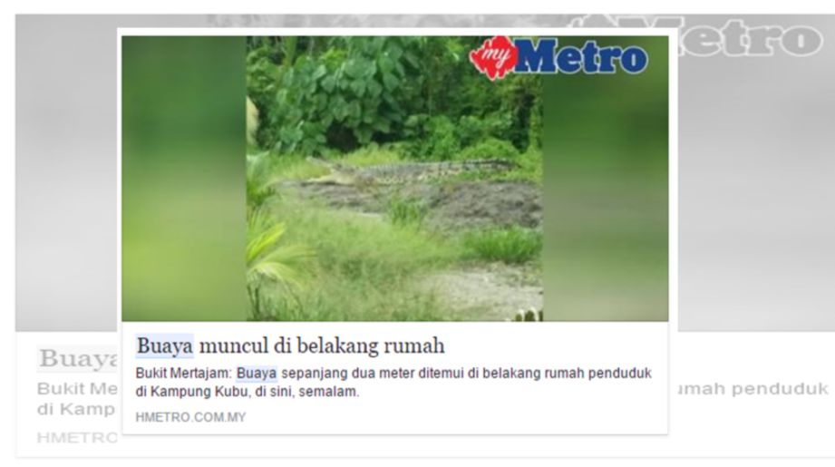 KERATAN laporan Harian Metro pada 29 Januari. 