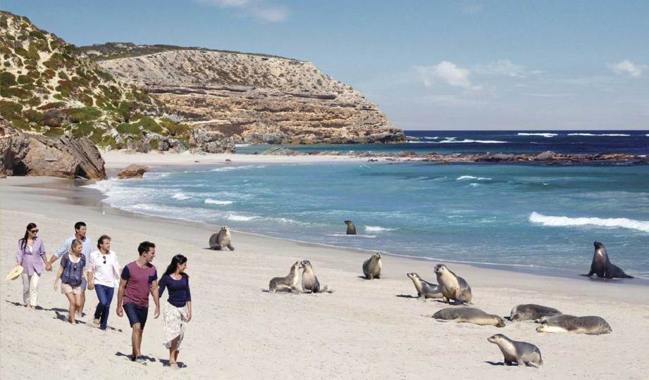 FOTO South Australian Tourism Commission
