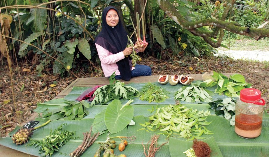 LADANG organik di Bentong, Pahang.