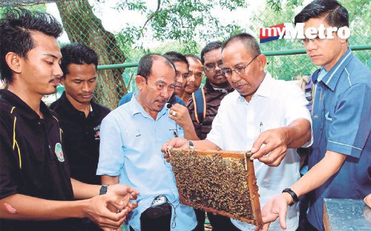 PENGERUSI Jawatankuasa Hal Ehwal FELDA Pahang Datuk Abu Bakar Harun dan peserta kursus melihat sarang lebah.