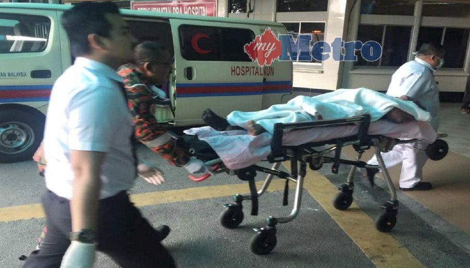 MANGSA yang melecur dibawa ke Hospital Raja Permaisuri Bainun, Ipoh untuk rawatan. FOTO Muhammad Apendy Issahak
