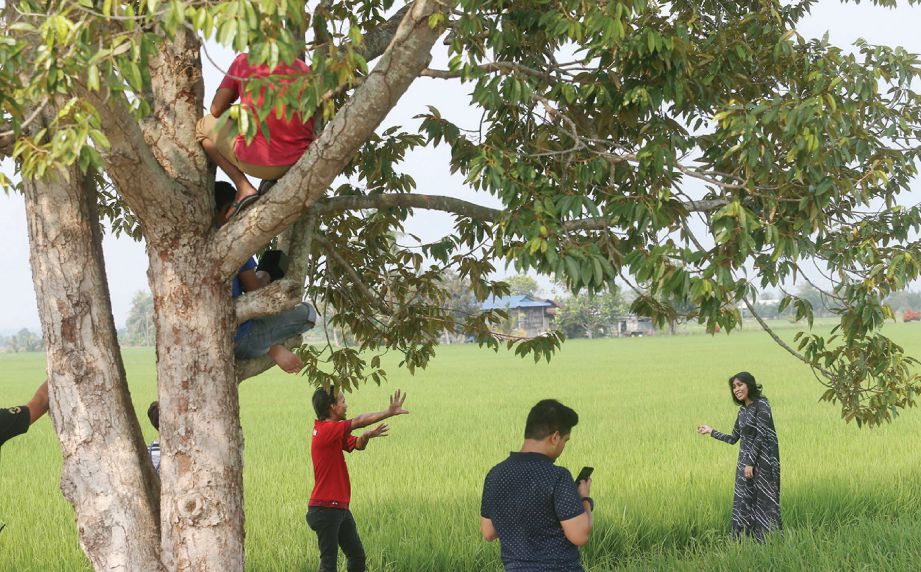 SALAH satu lokasi menarik di Kampung Gulang-Gulang, Tanjung Karang.