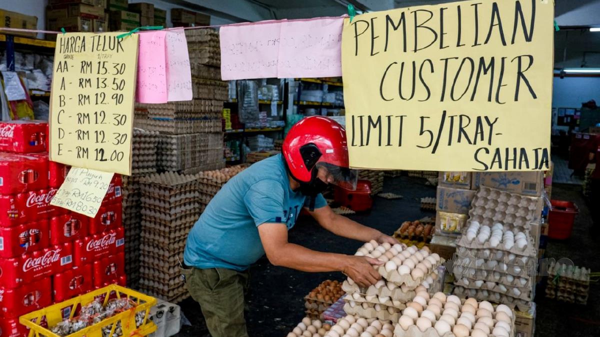 TINJAUAN bekalan telur ayam didapati berkurang di Pasar pemborong Chow Kit sejak awal bulan ini. FOTI Hazreen Mohamad.