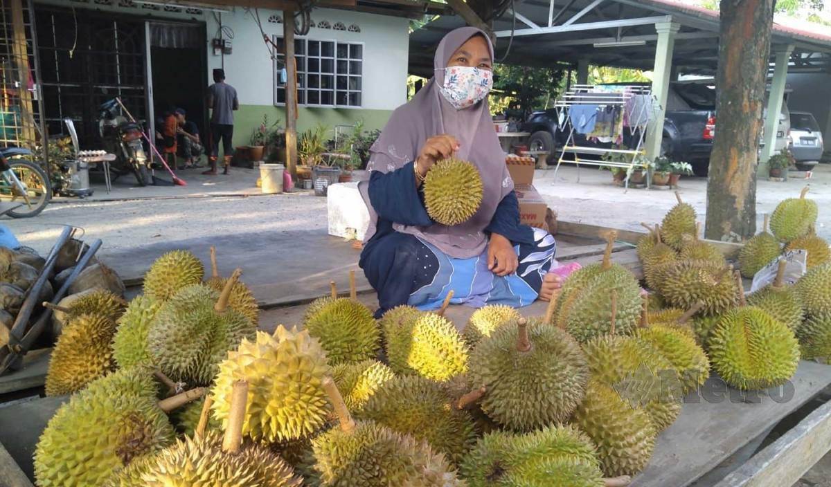 Harga durian kampung 2021