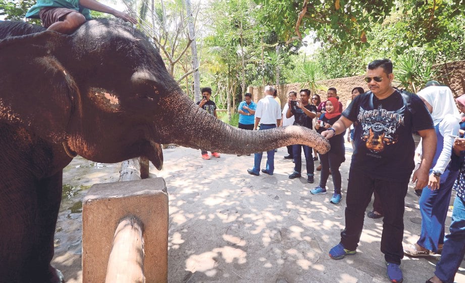 PENULIS (kanan) berpeluang memberi makan kepada gajah di Lombok Elephant Park.
