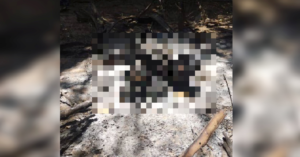 Mayat lelaki dengan kesan terbakar dalam ladang kelapa sawit