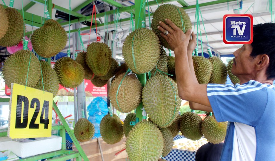 ZULKARNAIN  menyusun durian di gerainya. FOTO NSTP