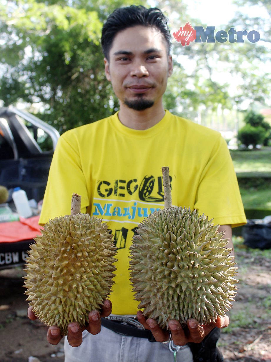 SALLEH  menunjukkan durian kampung yang dijual. FOTO NSTP