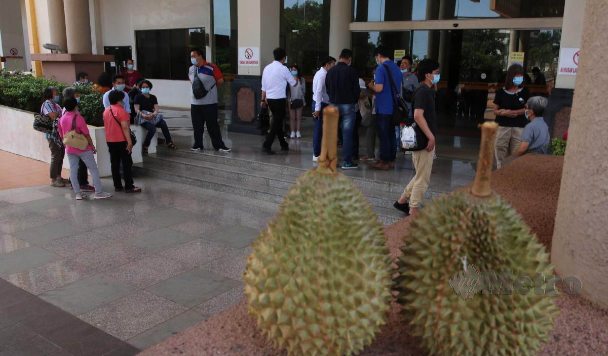 SEBAHAGIAN pengusaha kebun durian terutama Durian Musang King Raub, berkumpul di perkarangan Kompleks Mahkamah Indera Mahkota, untuk menyerahkan permohonan semakan kehakiman di Mahkamah Tinggi pada 28 Ogos lalu. FOTO Arkib NSTP