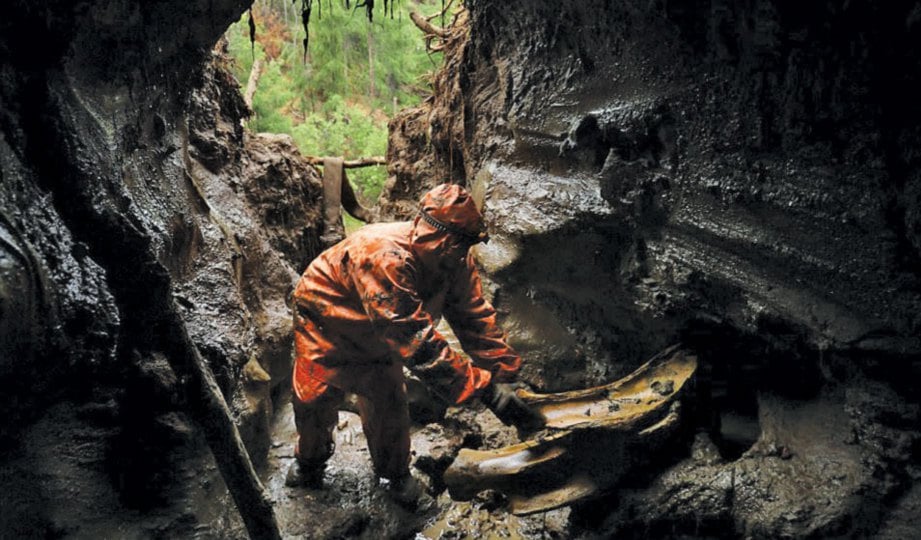 SEORANG pemburu menggali terowong untuk mencari rangka mamot dan badak sumbu.