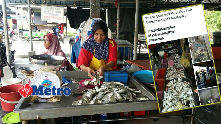 Peniaga ikan, Melati Ladon, 34, menjual ikan pada harga tidak menentu setiap hari di pelantar ikan Kampung Seberang Kota, Kuala Kedah. (Gambar kanan) Mesej di FB yang tular konon harga ikan murah. FOTO Zuliaty Zulkiffli