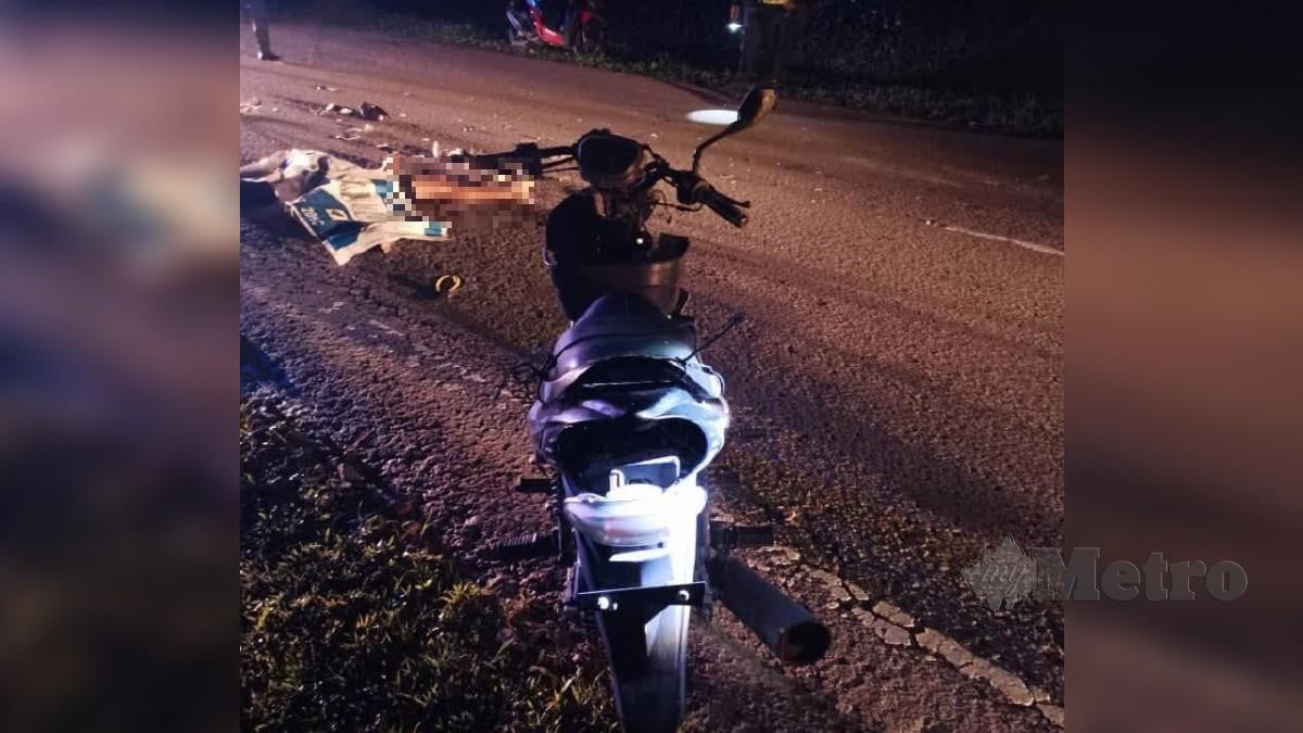 MANGSA disahkan maut di lokasi kejadian selepas motosikal ditunggangnya melanggar seekor kerbau. FOTO ihsan polis