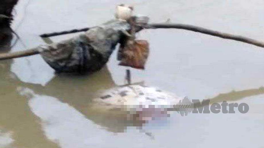 MAYAT lelaki yang ditemui di tebing Sungai Perai, Seberang Jaya. FOTO Ihsan Polis.