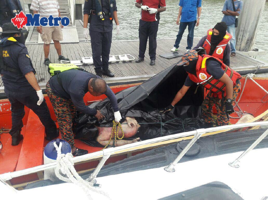 Anggota bomba memeriksa mayat Hin  yang ditemui terdampar oleh nelayan di Pulau Aman petang semalam. FOTO Ihsan APMM