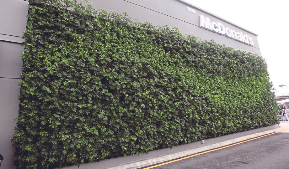  LANDSKAP hijau pada dinding bangunan membantu mengurangkan karbon dioksida.