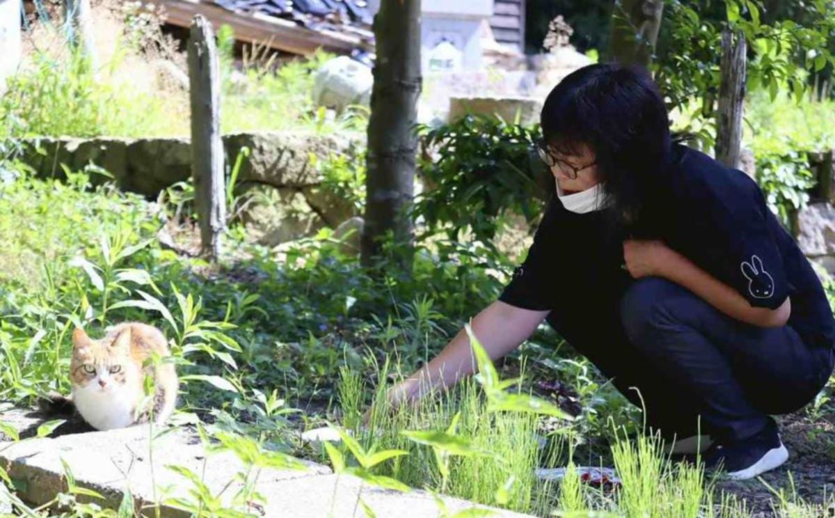 HIDEKO Takabayashi memberikan makanan kepada kucing milik mendiang ibunya bernama Mei yang setia menunggu tuannya yang sudah meninggal dunia. FOTO Agensi