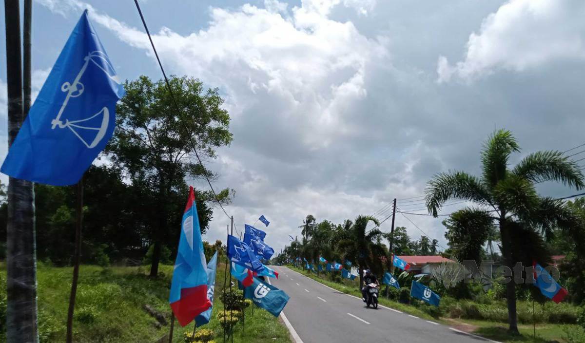PERANG bendera pelbagai parti sekitar Felda Medoi. FOTO Ahmad Ismail