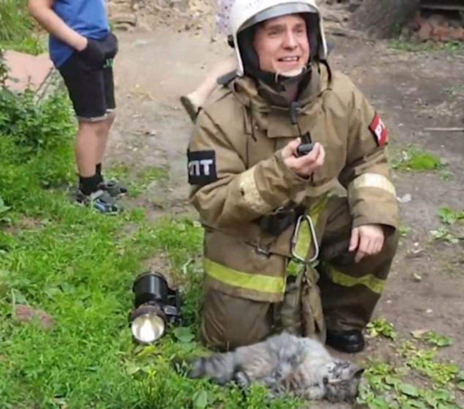  SEEKOR kucing berjaya diselamatkan dari kebakaran.