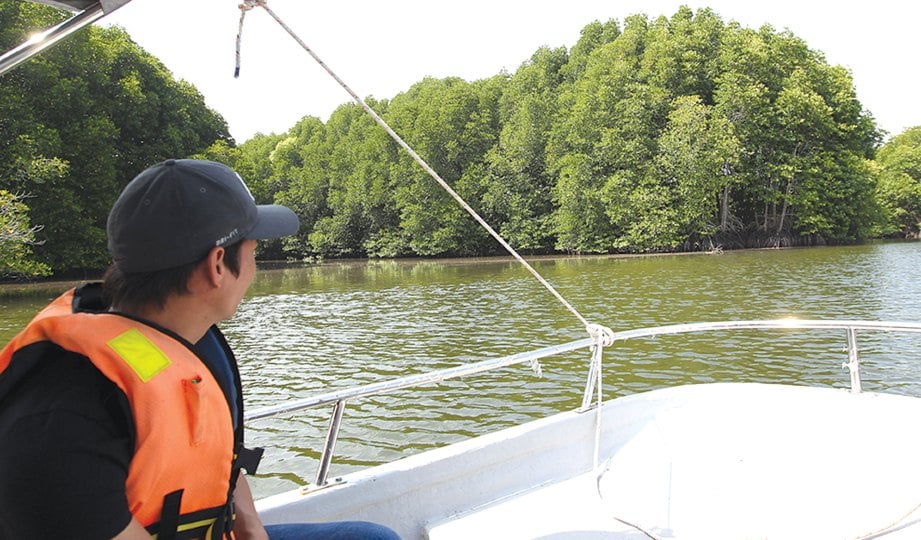BERADA di dalam bot yang selesa ditawarkan dalam aktiviti menyusuri sungai.