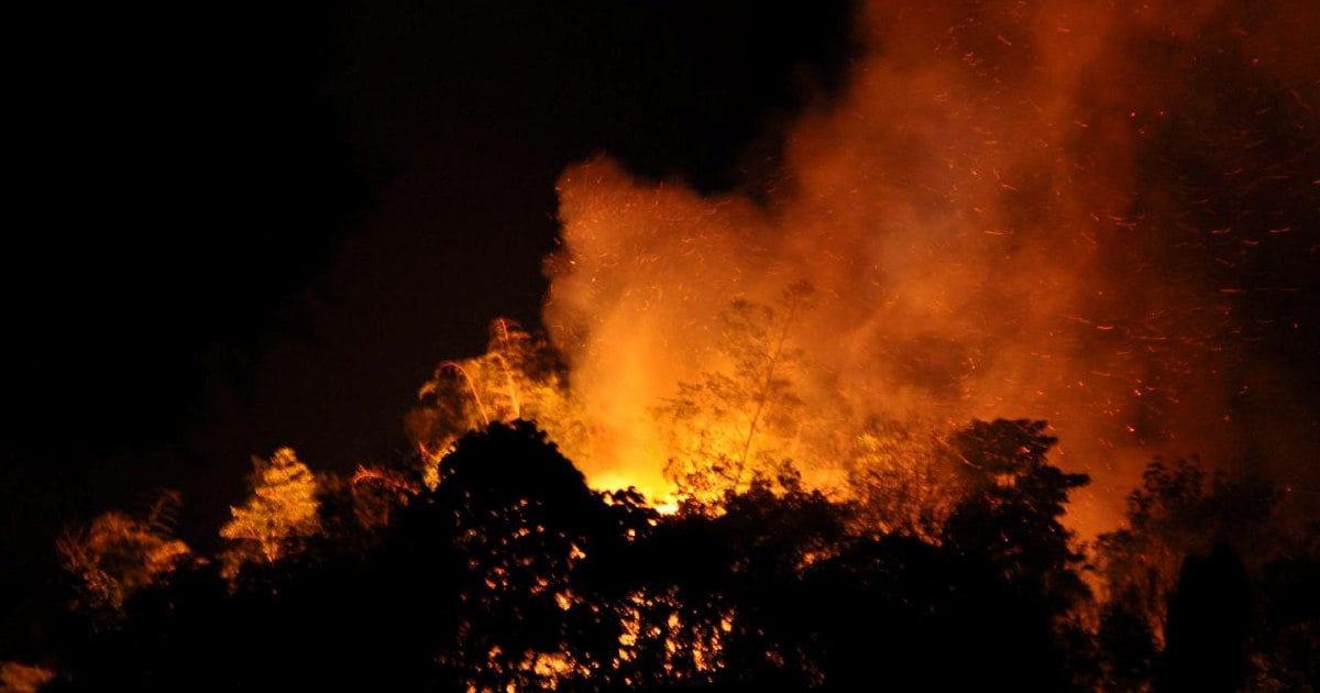 Penduduk bimbang kebakaran hutan mula merebak ke perkampungan