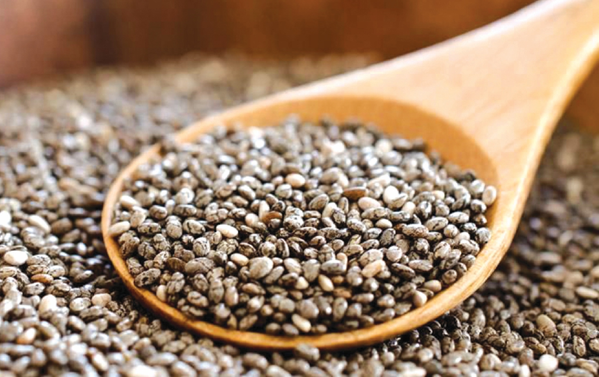 CHIA seeds mengandungi lemak sihat. - FOTO Google