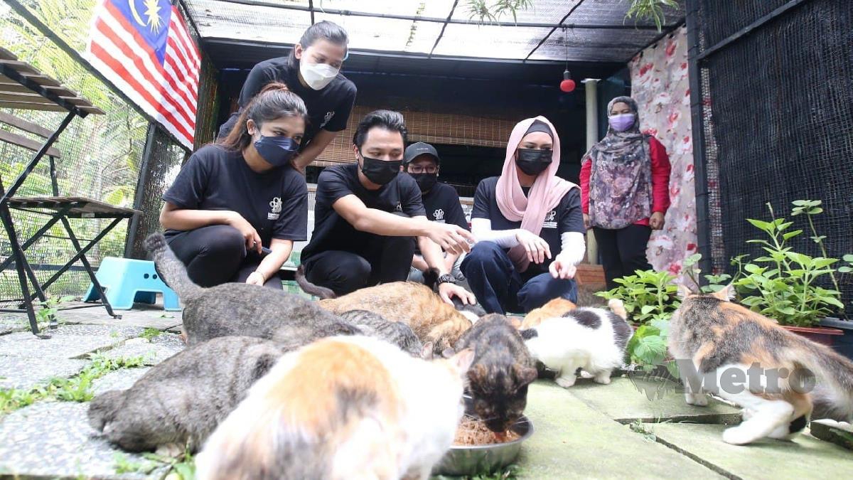 Buang Dera Kucing Akibat Tekanan Ketika Pkp Metrotv