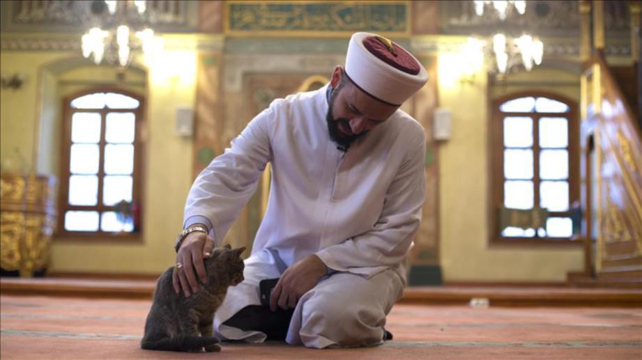 Kisah imam sayang kucing jadi iktibar