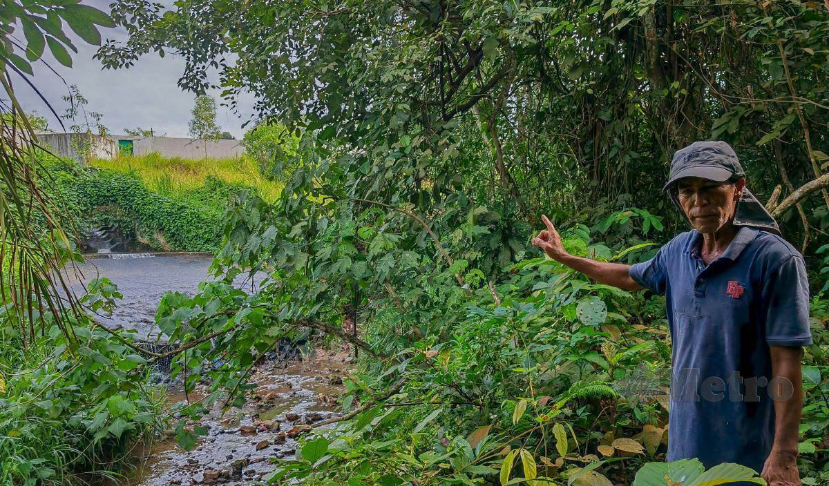 SALEH Jaratin menunjukkan keadaan parit yang berbau busuk dengan air kehitaman mengalir dari sebuah taman perumahan ke kawasan tanah persendirian dan rumah penduduk di Kampung Bukit Kader. FOTO Azrul Edham