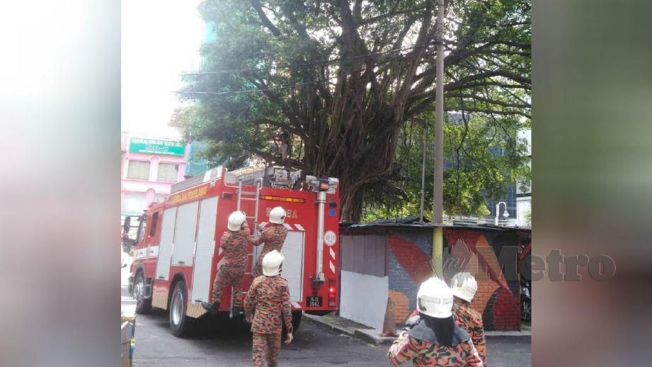 WARGA emas yang cuba membunuh diri di Lorong Haji Taib 5, Kuala Lumpur, diselamatkan bomba. FOTO ihsan bomba