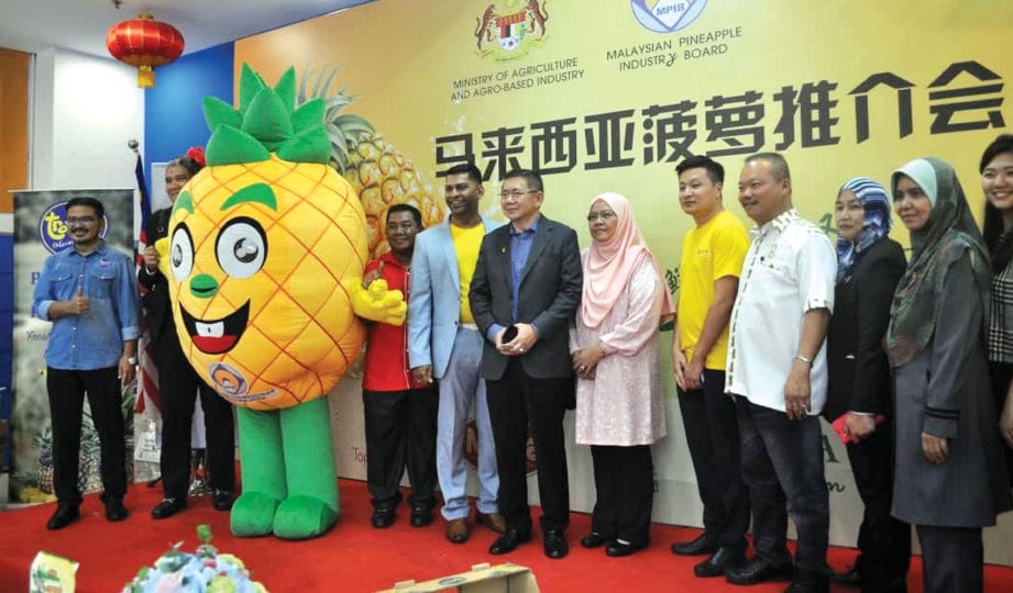 SEBAHAGIAN pemain industri nanas Malaysia bersama Salahuddin.