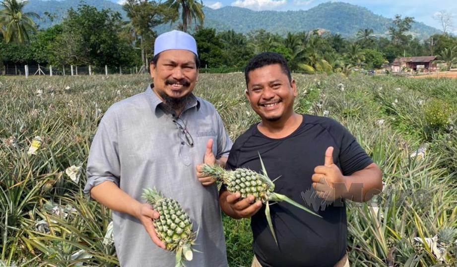 KHAIRILL Anwar (kanan) bersama seorang pembeli nanasnya di ladang di Kampung Simpang Kendong Kota, Rembau. FOTO Mohd Amin Jalil