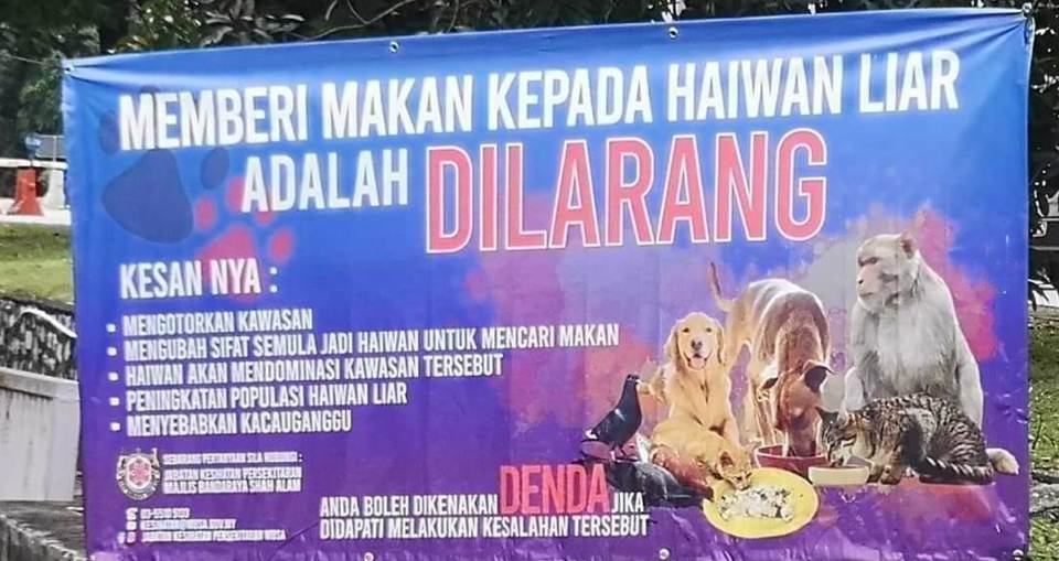 Individu Beri Makan Haiwan Terbiar Perlu Bertanggungjawab