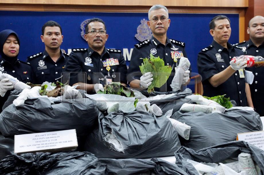 Hasanuddin (tengah) menunjukkan daun ketum yang dirampas polis. FOTO Syamsi Suhaimi
