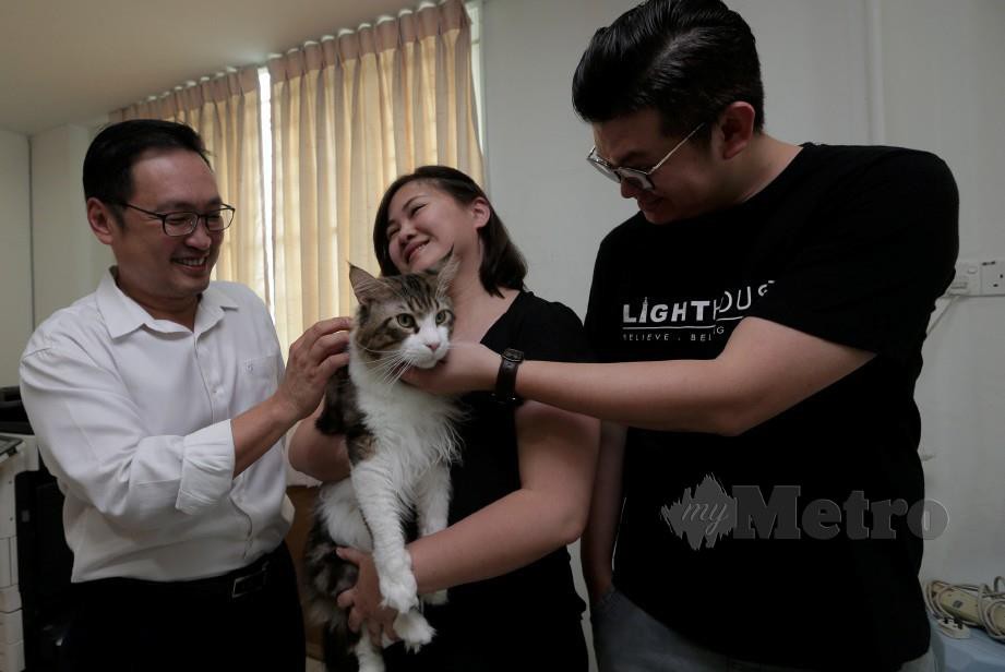 Kahlua kucing kebanggaan Sarawak