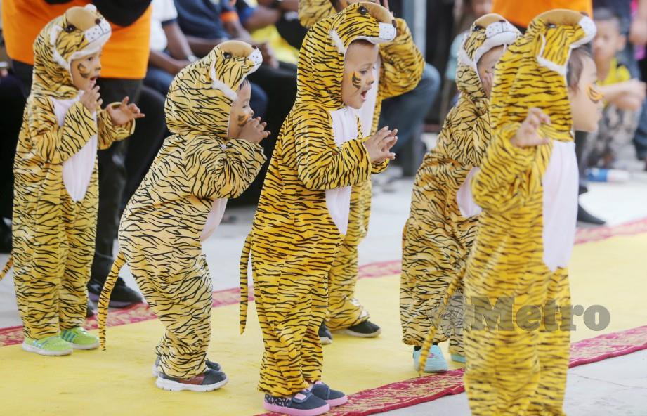 Kanak-kanak Taska Permata Gerik yang memakai kostum harimau membuat persembahan pada sambutan Hari Harimau Sedunia di Taman Inai Gerik. FOTO Abdullah Yusof