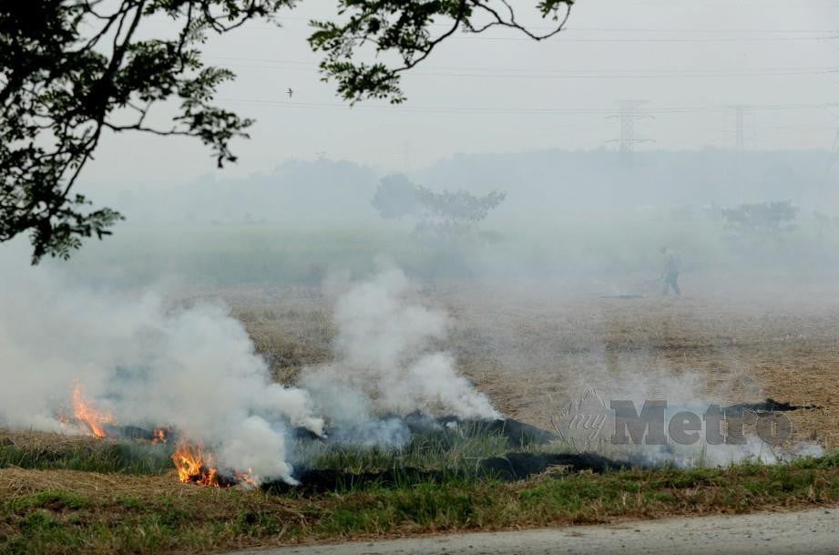 pembakaran terbuka di malaysia