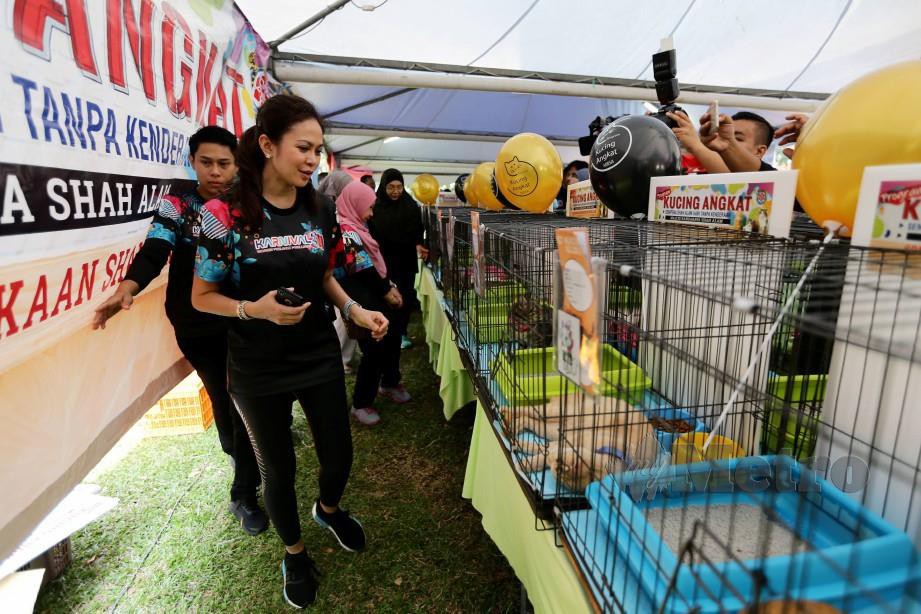 Tengku Permaisuri Norashikin kesal berhubung insiden anggota MPSJ cuba menangkap anjing terbiar secara ganas baru-baru ini. FOTO Arkib NSTP