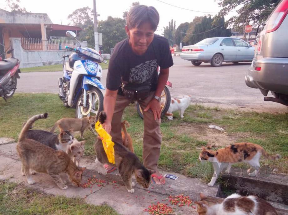 Mohd Shah memberikan makanan kepada 10 ekor kucing jalanan di Taman Sri Jaya, Renggam, Kluang. FOTO Adnan Ibrahim