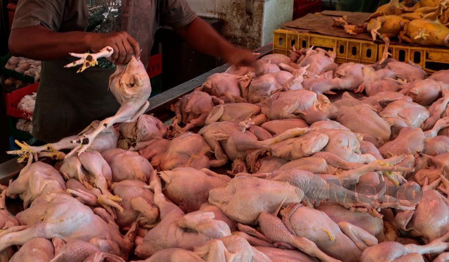 PENIAGA, Muhammad Faizul Radzli, 34, menyusun bekalan ayam segar yang dijual di Pasar Borong Selangor pada minggu akhir  Ramadan  dalam suasana Perintah Kawalan Pergerakan Bersyarat (PKPB). FOTO Hazreen Mohamad