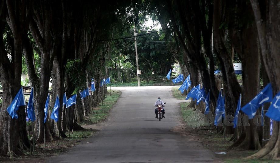 BENDERA parti bertanding memenuhi jalan utama di Felda Chini. FOTO Farizul Hafiz Awang