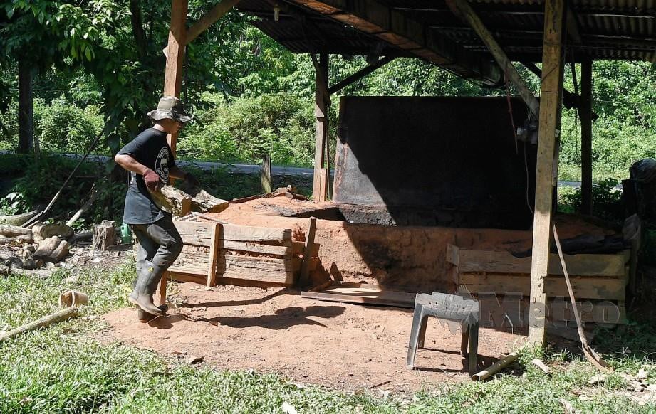 MUHD Dzaqwan mengangkat batang kayu untuk dimasukan ke dalam lubang khas bagi proses membakar bagi menjadi arang kayu. FOTO Bernama