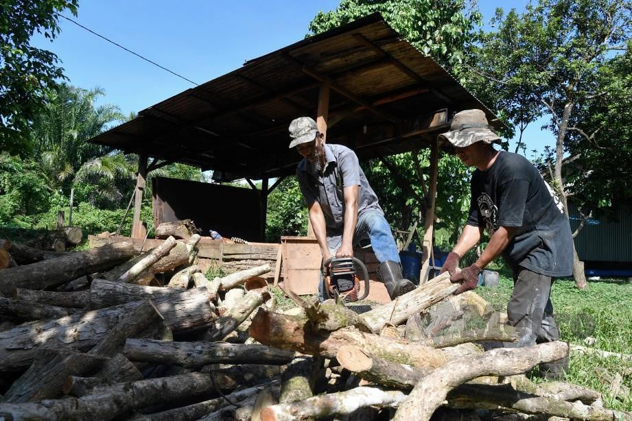 SUKRY (kiri) bersama Muhd Dzaqwan mengumpul batang kayu untuk dijadikan arang kayu. FOTO Bernama