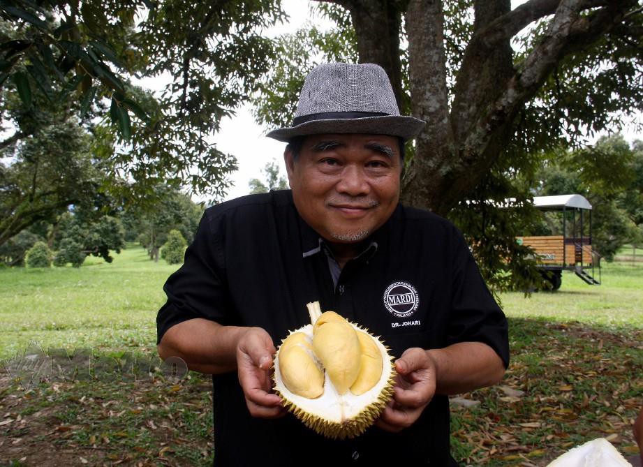 JOHARI menunjukkan durian MDUR 88. FOTO Bernama