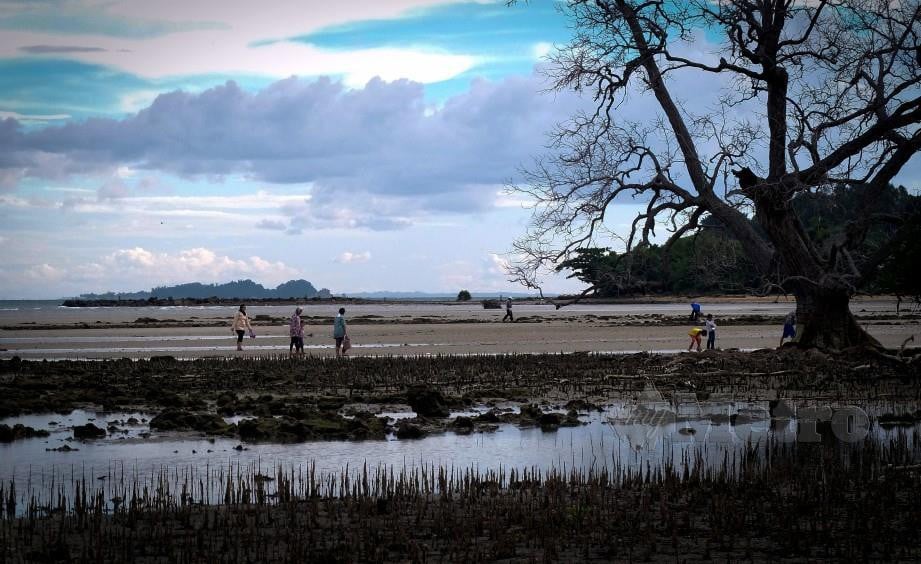 Orang ramai mencari kepah di kawasan pesisir pantai Kiamsam. FOTO BERNAMA