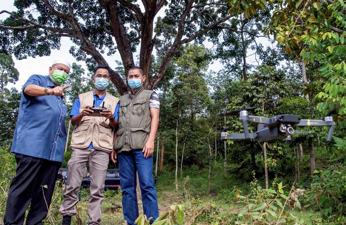 ABDUL Khalim (kiri) melihat anggotanya daripada unit dron, Mohd Shahril Yusop (tengah) menerbangkan dron bagi memantau aktiviti pencerobohan hutan di HSK Chabang Tongkat. Turut hadir Penolong Pengarah Kanan Operasi dan Penguatkuasaan hutan negeri Kelantan Mohd Shukri Aziz (kanan). FOTO BERNAMA