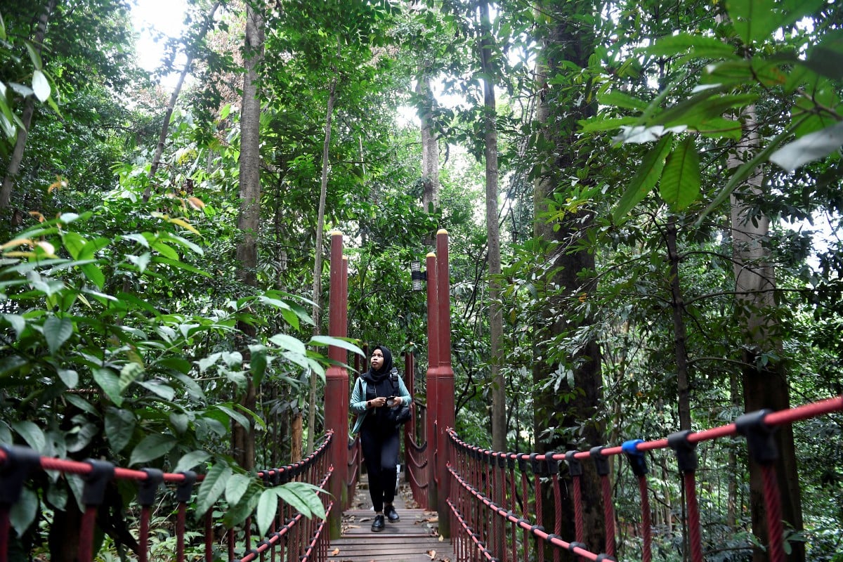 PENGUNJUNG dapat melalui jabatan gantung setinggi 79.2 meter di Taman Eko Rimba Kuala Lumpur (TERKL). FOTO Bernama