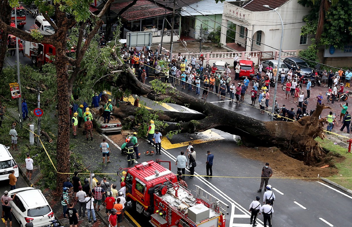 ANGGOTA Bomba dan Penyelamat Jalan Perak melakukan kerja mengeluarkan mangsa yang tersepit selepas pokok tumbang di atas jalan raya dan menghempap kereta di Jalan Perak. FOTO Mikail Ong