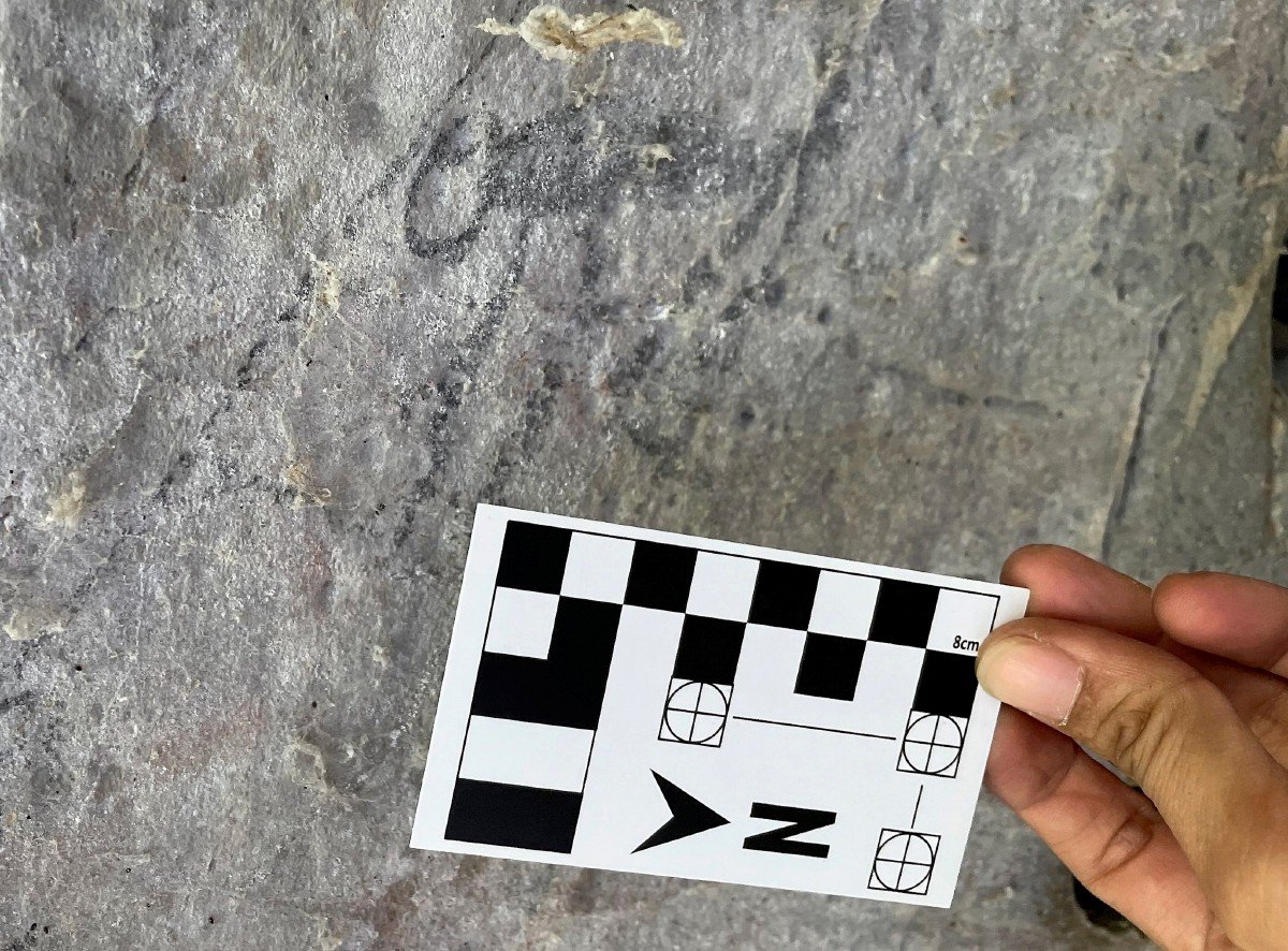 GEONAT menemui lukisan gua yang dianggarkan berusia antara 2,500 hingga 4,000 tahun di Gua Kanthan, Chemor.  Ini merupakan lukisan gua yang pertama ditemui di Gua Kanthan. FOTO Bernama